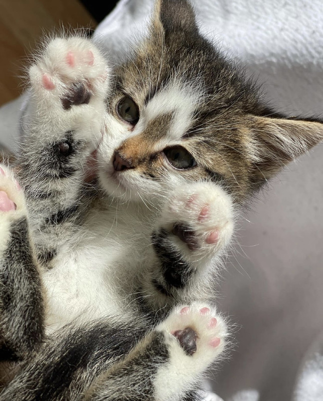 9D877359-AB72-4DD2-9FB0-BC11E82CEFA5