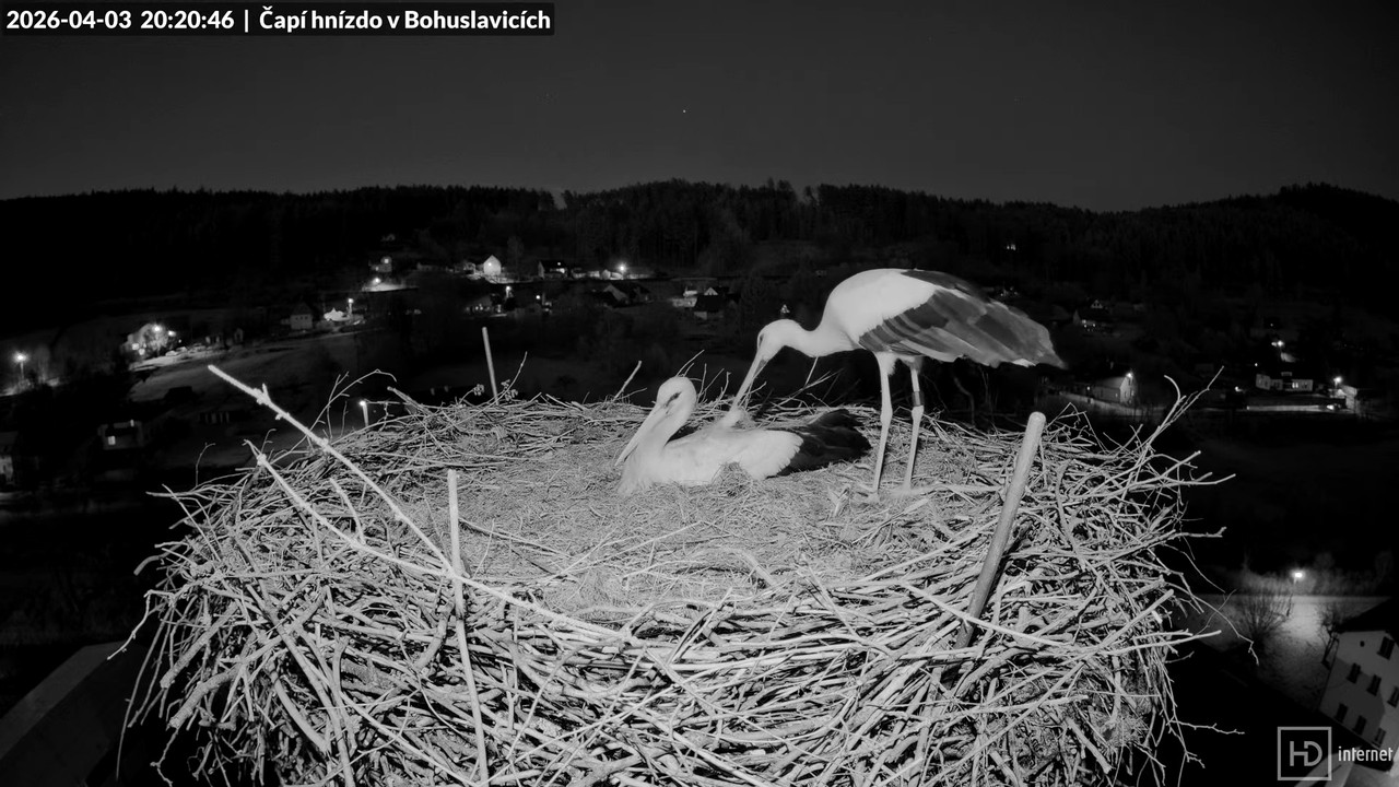 Tiešraide no KARA uzņēmuma stārķu skursteņa Bohuslavicē netālu no Trutnovas 14 49 42 screenshot (1)