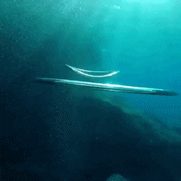 GIFs-15