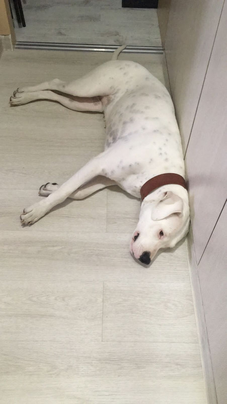 549192C1-4F7E-4993-ADB3-1BAB3CB3DE5A