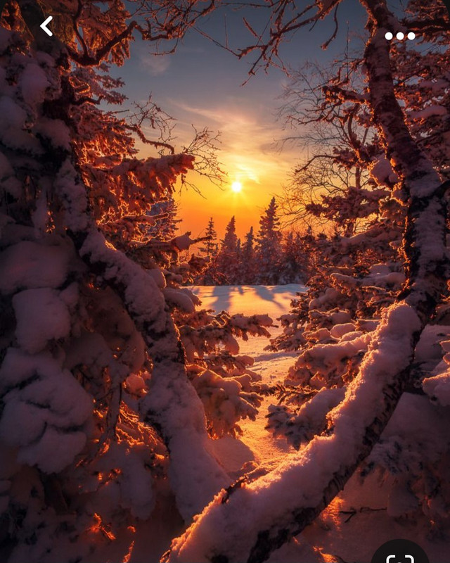 Screenshot_20231102_001527_Pinterest