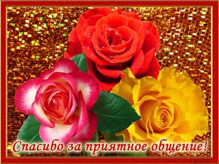 https://i.postimg.cc/MTS7z88K/Kv-Hd-P347rq8.jpg