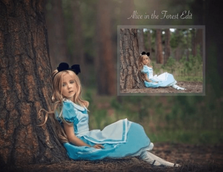 Alice in The Forest by Lisset Perrier Photography