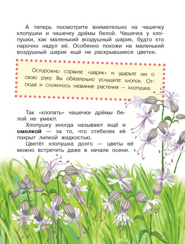 Onegov-Anatolij-Pochemu-kukushka-slozki-lot-page-0036