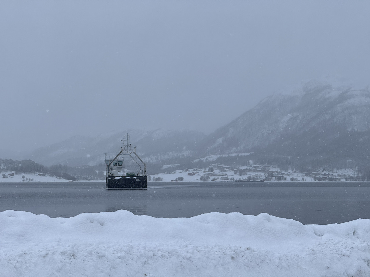 [Immagine: IMG-9131.jpg]