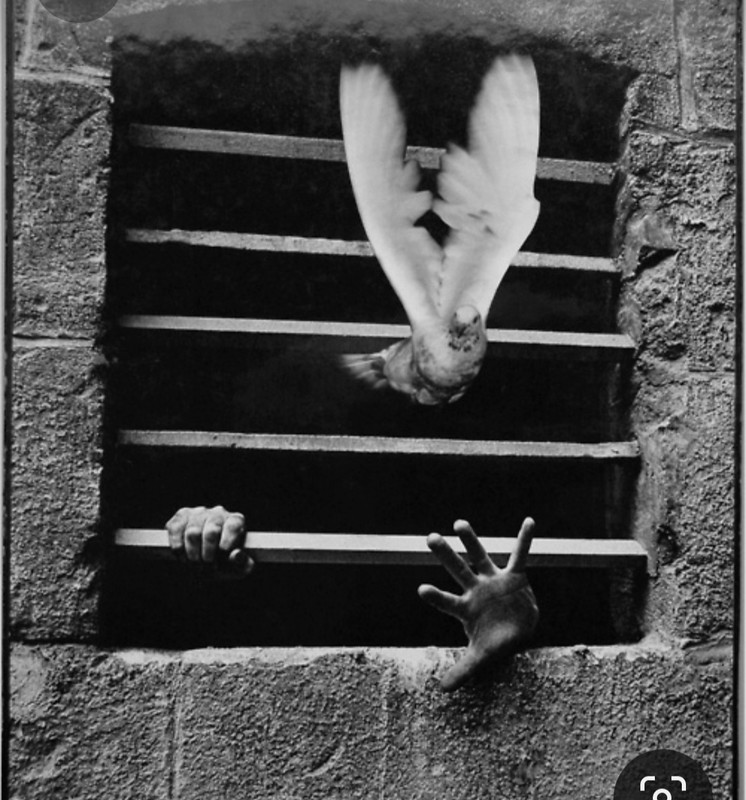 Screenshot_20231025_160544_Pinterest