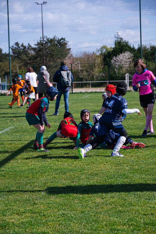 tournoi-de-latlantique-2026-adonis-griffon-178-55181538709-l