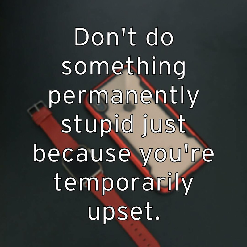 don-t-do-something-permanently-stupid-just-because-you-re-tempor