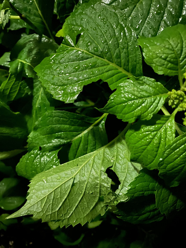 F9AEEEFC-5B0C-48B3-8774-88054472F476