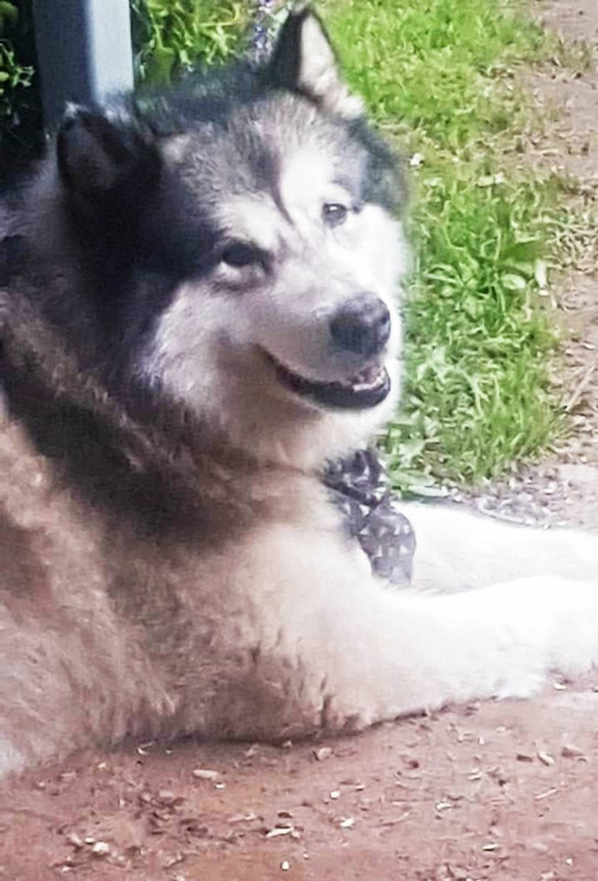 EC64C688-D374-4DC2-AE29-F9F0DAB58DDD