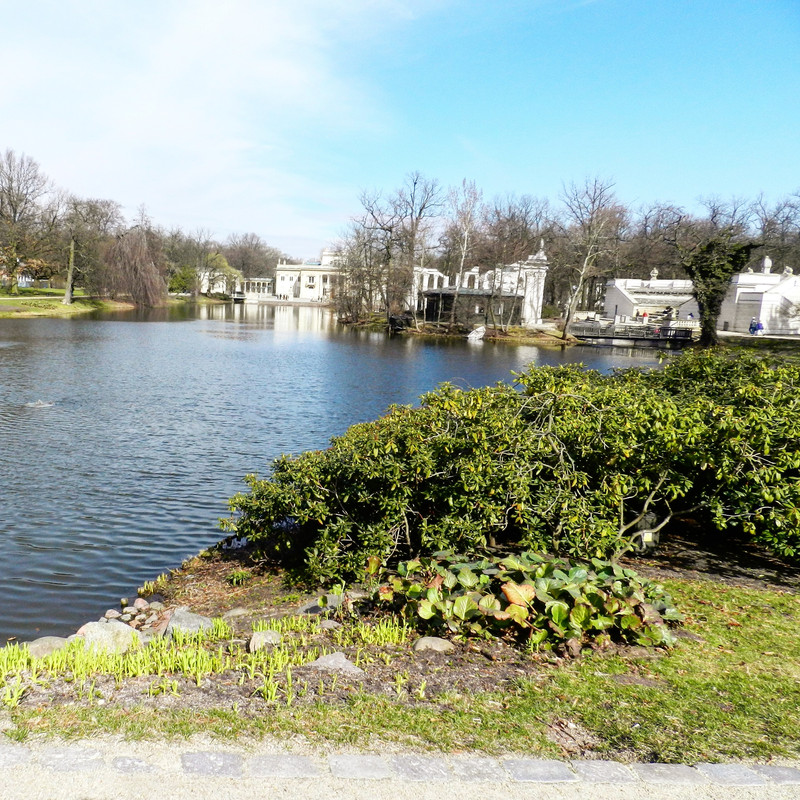 IMG_20170406_012146_612