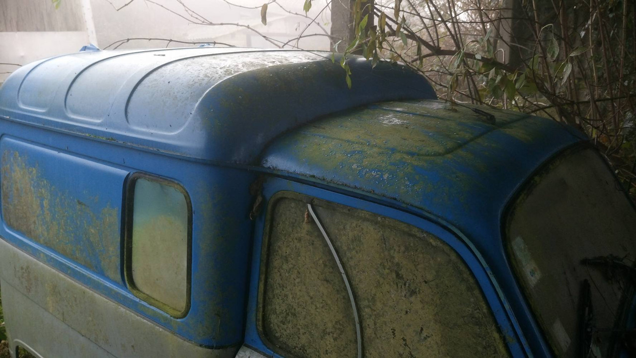 15387584_10209989593849493_1776589205_o