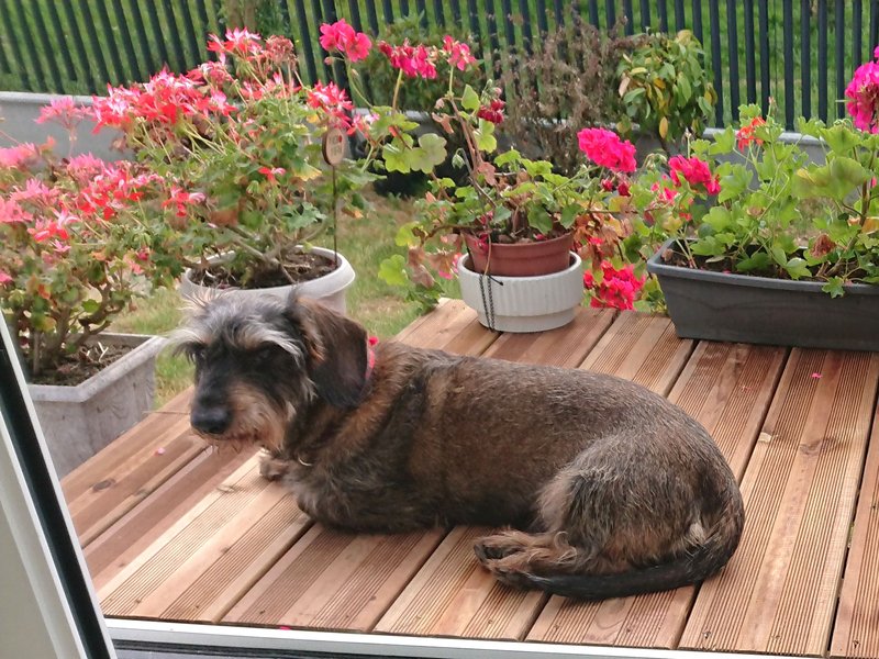 [Image: DSC-2837.jpg]