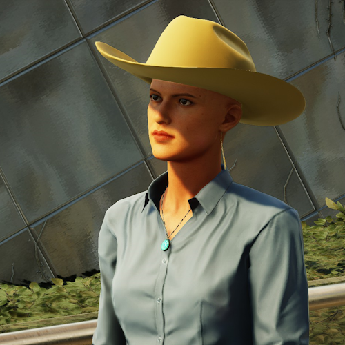 BALD_EHN_Sloan