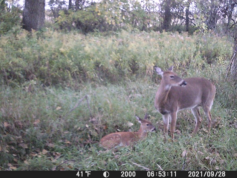 7FBD5AAE-D412-4D65-A91C-D57B73940B03