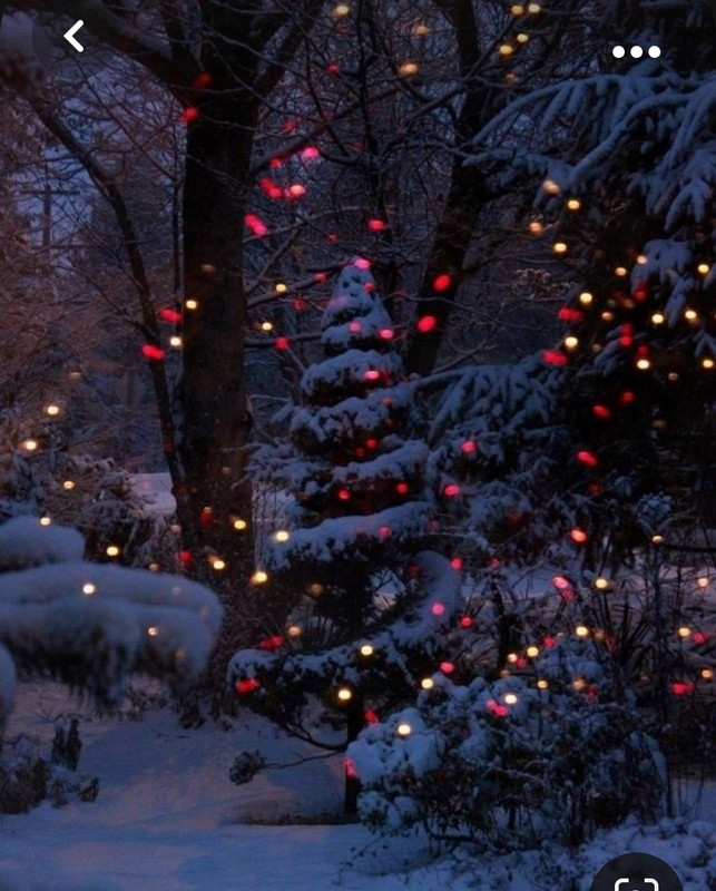 Screenshot_20231023_221121_Pinterest