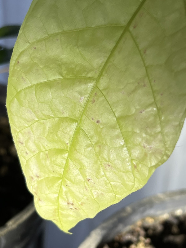 CF1FD0EC-CC50-4A4C-A808-E321D4846190