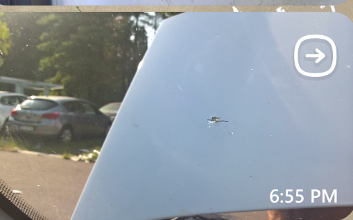 wp_ss_20160906_0003_(2)[1]