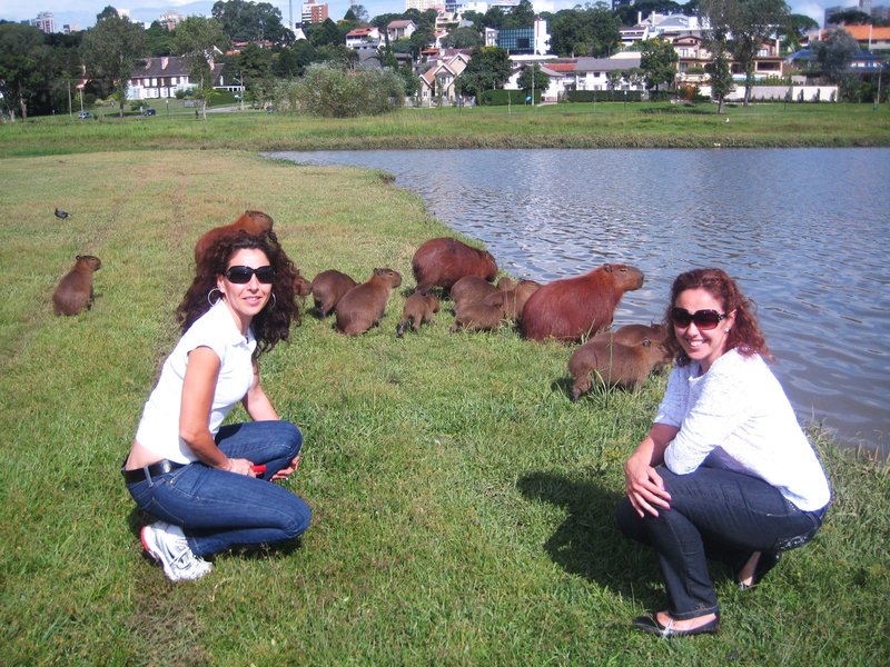 Curitiba-8-3-210 - Brasil y sus pueblos-2010 (10)
