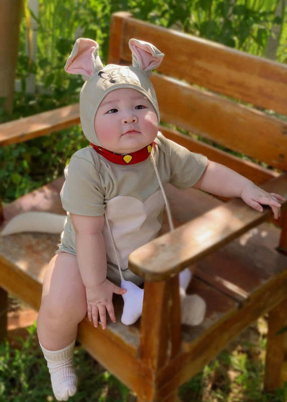 Bộ Ảnh Trang Phục Chó