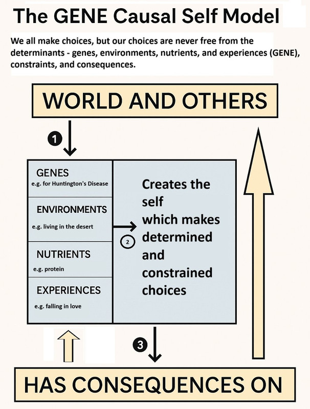 The-GENE-Causal-Self-Model-infograph.jpg