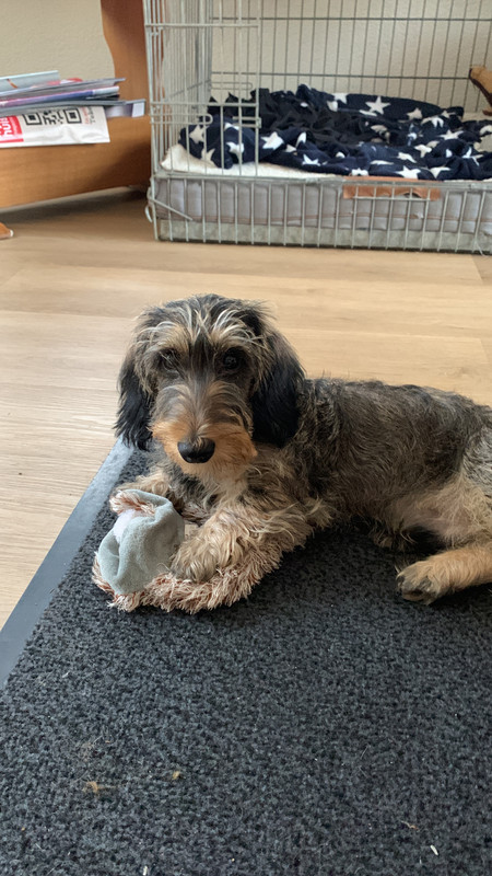 10D3808C-7F0F-43BF-B40D-8DBCEDA8E6A1