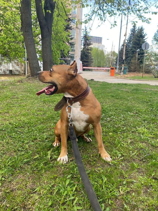 71D71A3D-E3DB-42CB-AB51-4692D428412C