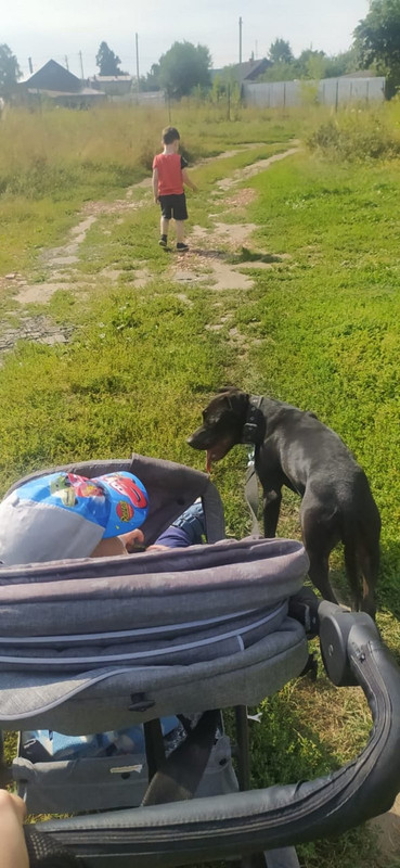 25D0BF8F-E96E-4372-8A6D-D71DD5456C61