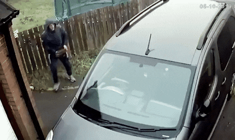 GIFs-1