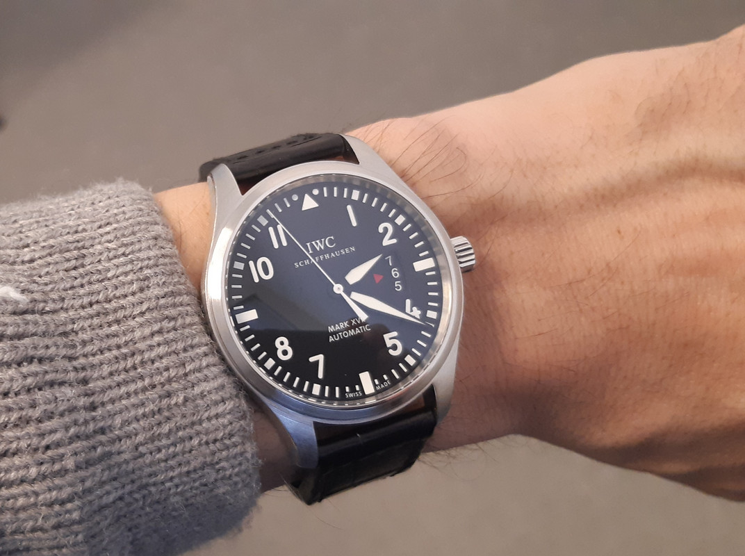Feu de vos IWC - tome II 20250206-142200
