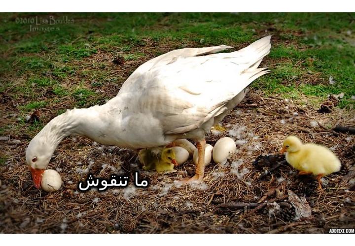 ���� ���� ������ �� ���� ������