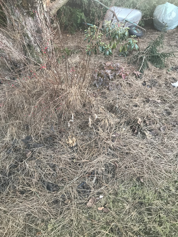 A4C66D8F-D128-444B-80A7-5AFDB19F8FBD