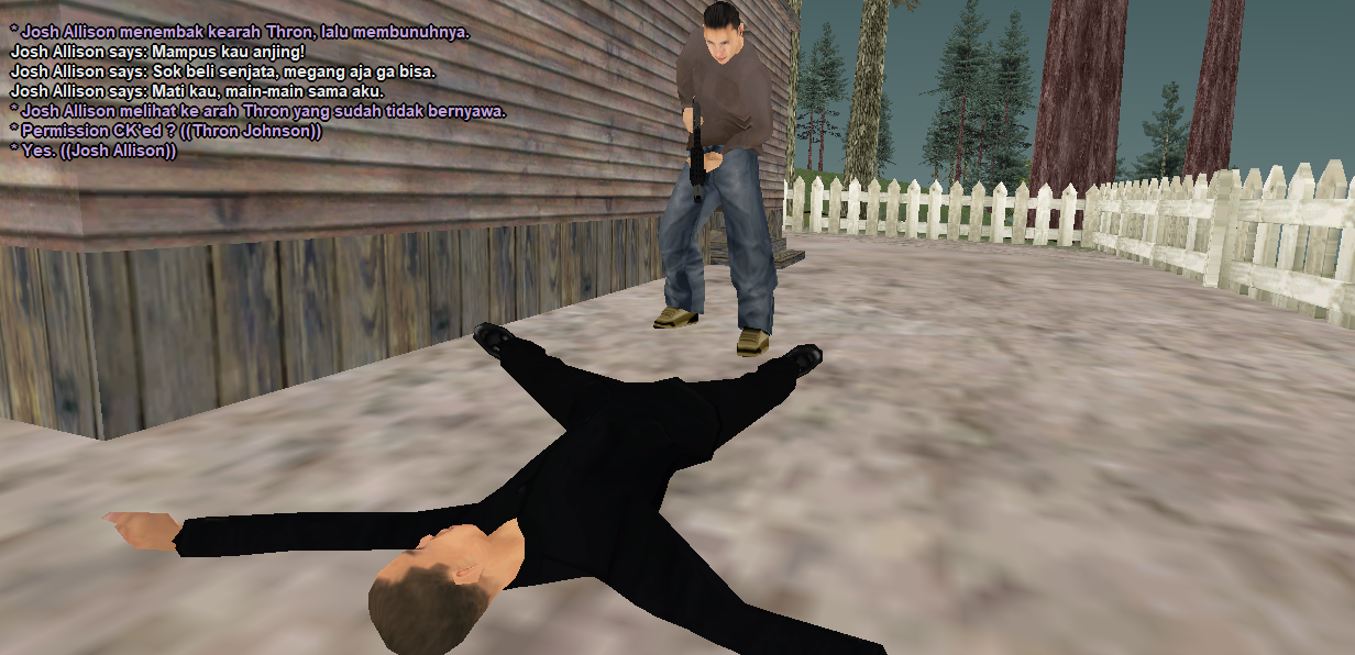 13.png