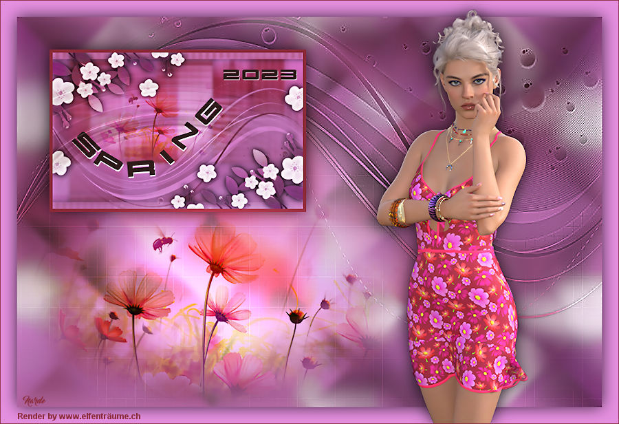 [Bild: kniri_spring_2023_narde.jpg]