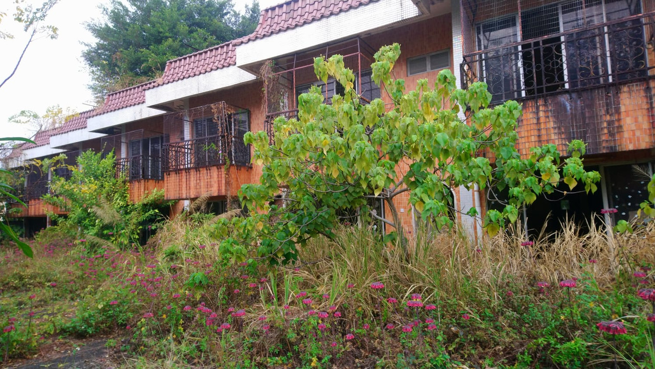 WhatsApp Image 2020-01-25 at 23.41.03 (1)