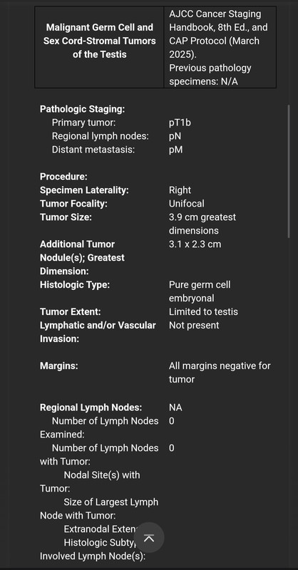 Screenshot 20251008 201847 Samsung Internet