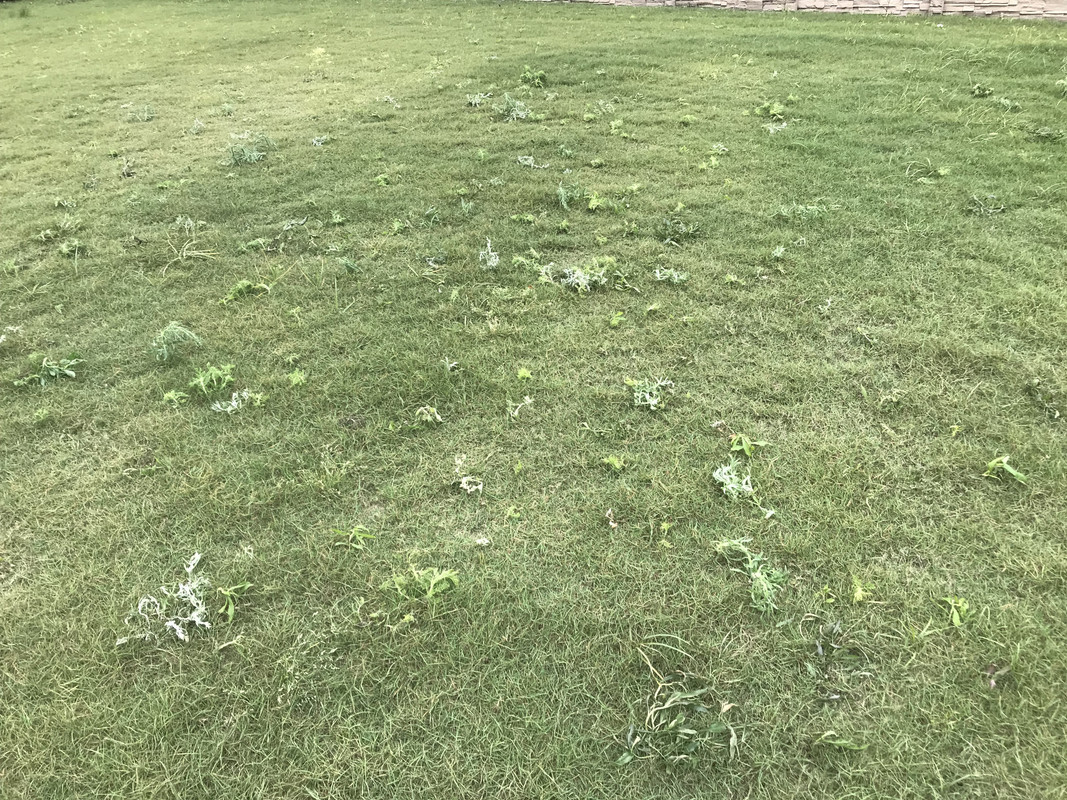 5D5AED75-118C-4E35-922B-3717CECD953B