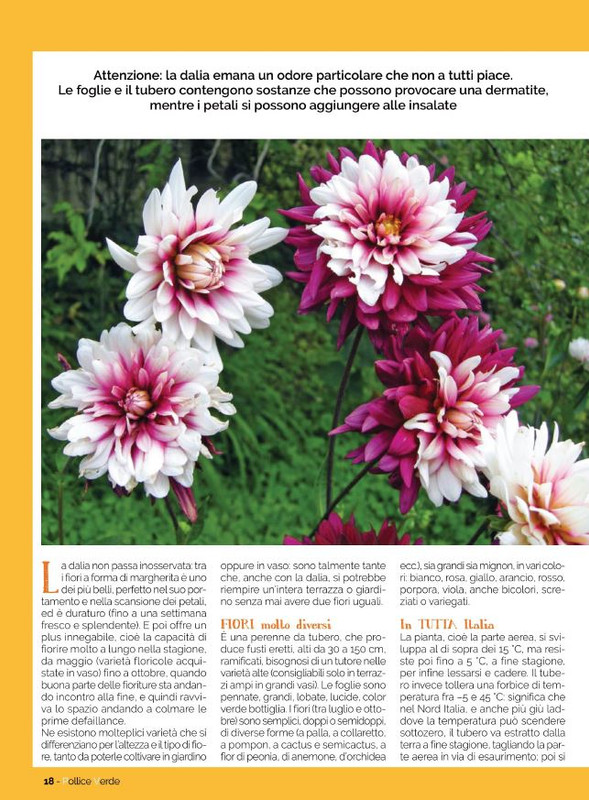 Pol Ver Ago 2021 (3)