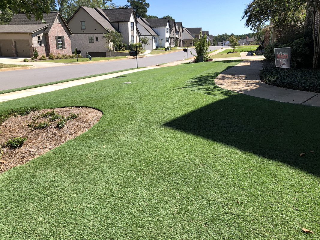 D9453AE1-9C05-471A-90E2-D1197FA1EE79