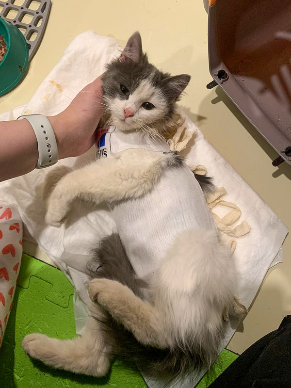 AE8435C8-A6A6-436C-9D2A-43CA3B6B53ED