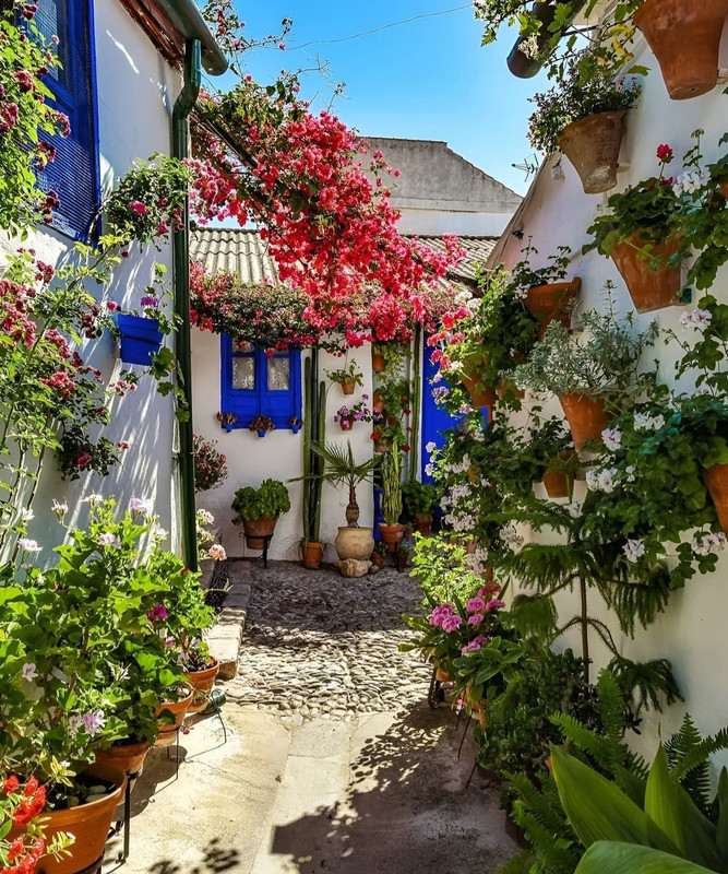 Screenshot_20240501_151644_Threads