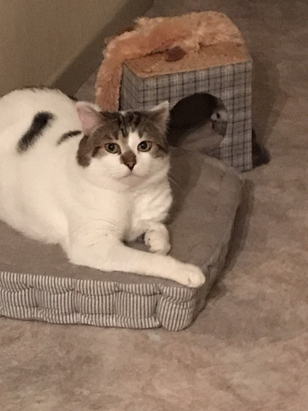 17562B08-A325-44EF-948A-DBEF29569E43