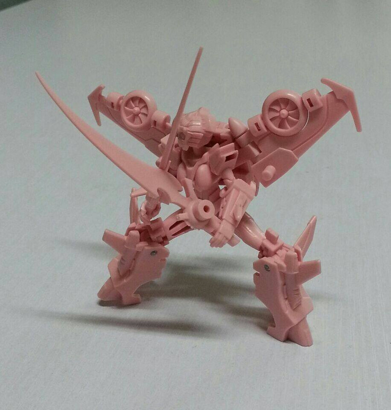 10685527_725086000910472_2674545091401906066_n