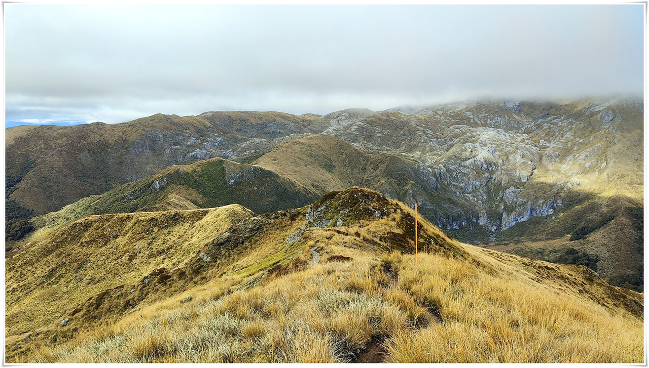 Kahurangi NP: Tableland/Mt Arthur Circuit (abril 2023) - Escapadas y rutas por la Nueva Zelanda menos conocida (23)