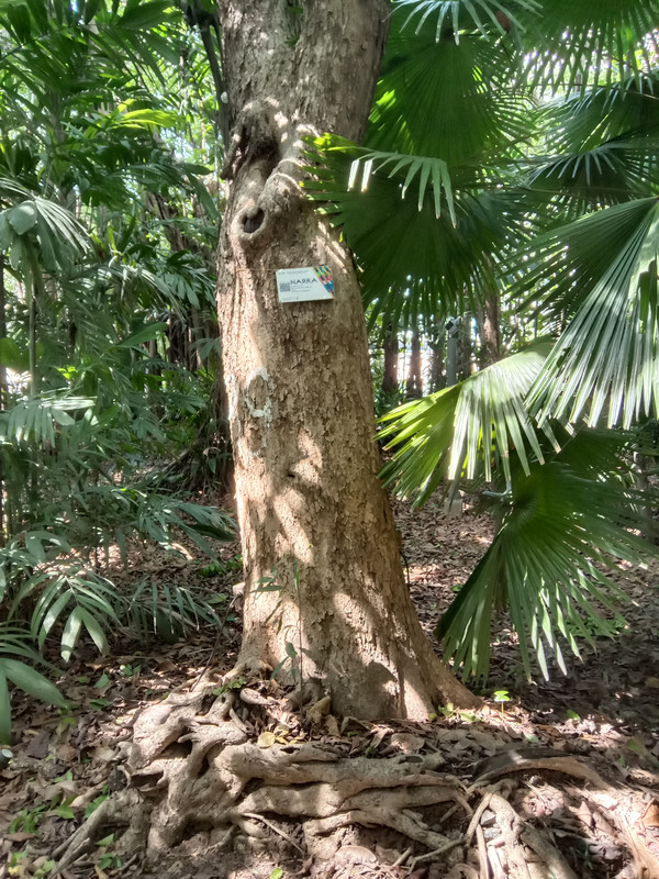 Arroceros Forest Park Manila Bagras20260715 141705