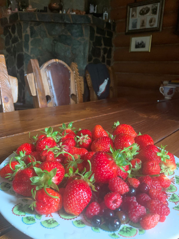 2DAFF86F-8E88-4A1A-9868-F212845DE361