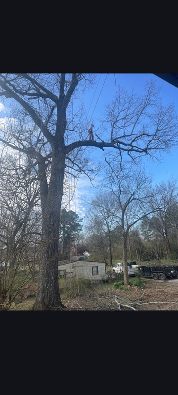 Screenshot 20260303 170857 Messages