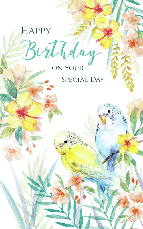 [Image: ed1afe48a611162748f4a2dfa448a9a7.jpg]