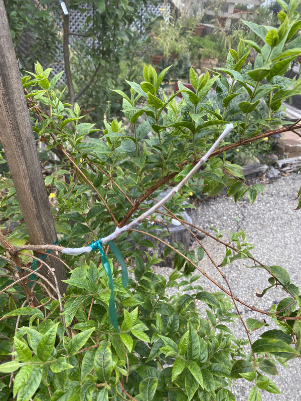 924BF072-1193-43B4-BDBC-F3E591C378A5