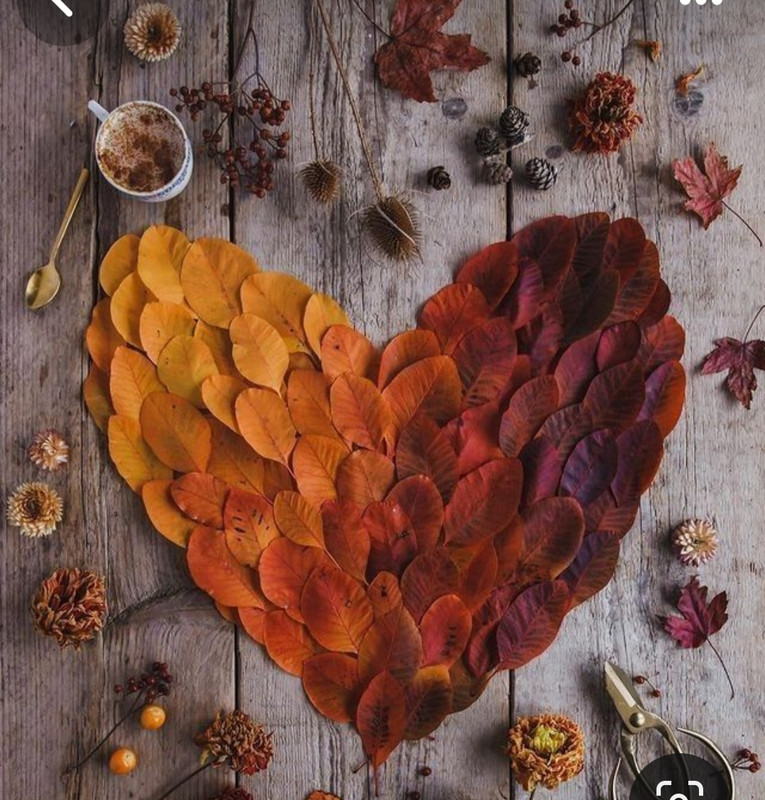 Screenshot_20240210_224121_Pinterest